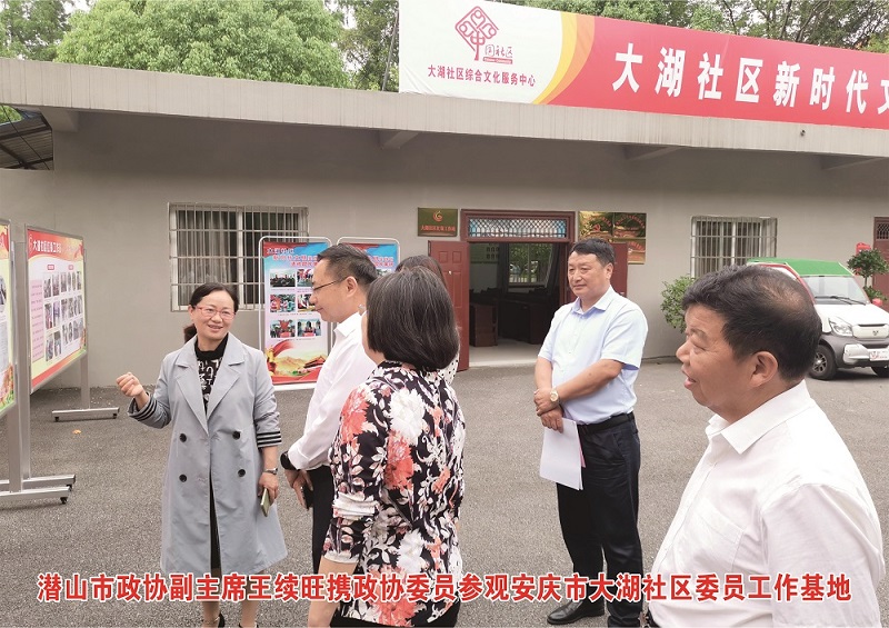 参观安庆市大湖社区委员工作基地