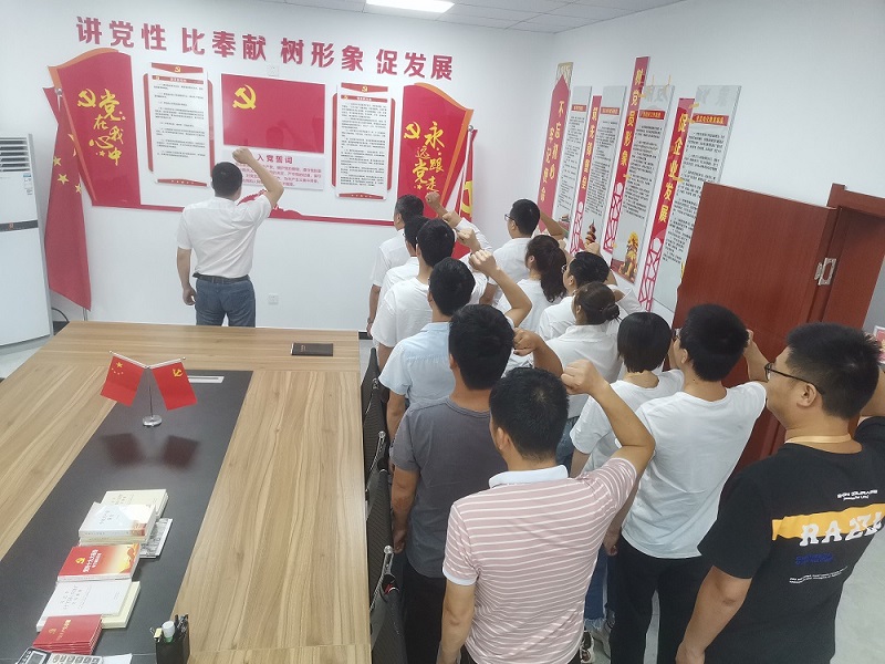 重温入党誓词党员宣誓活动