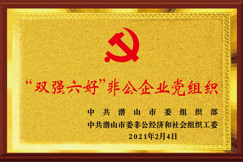 “双强六好”非公企业党组织