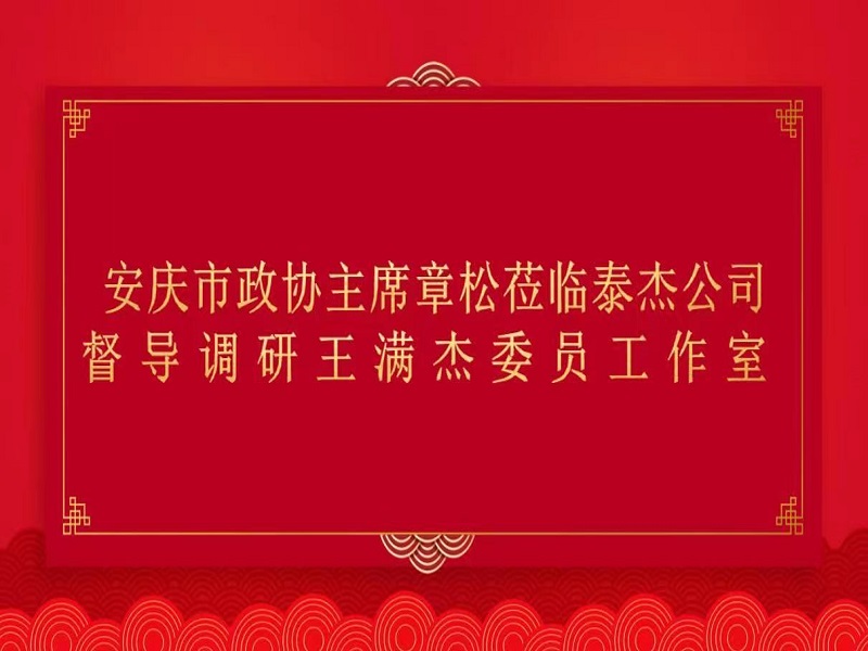 安庆市政协主席章松莅临泰杰公司督导调研王满杰委员工作室