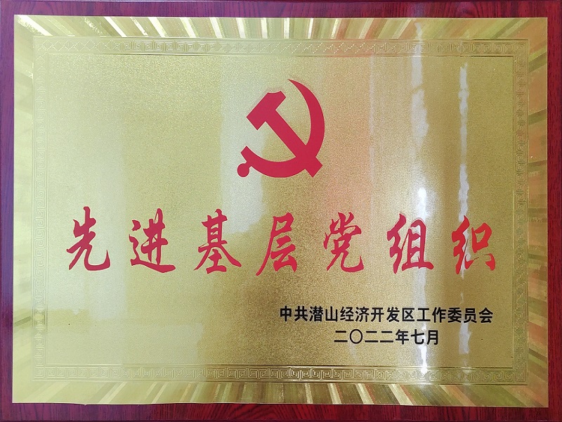 2022年度先进基层党组织