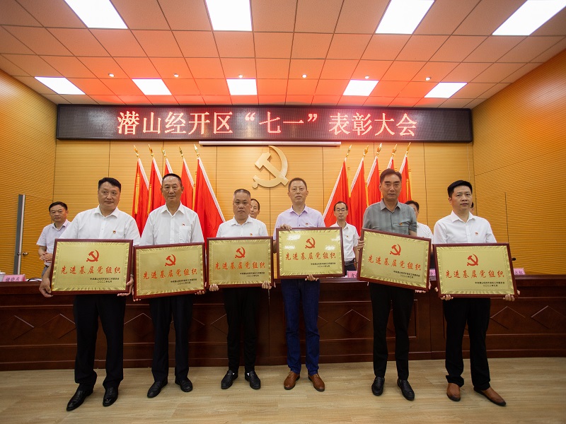 荣获“先进基层党组织”