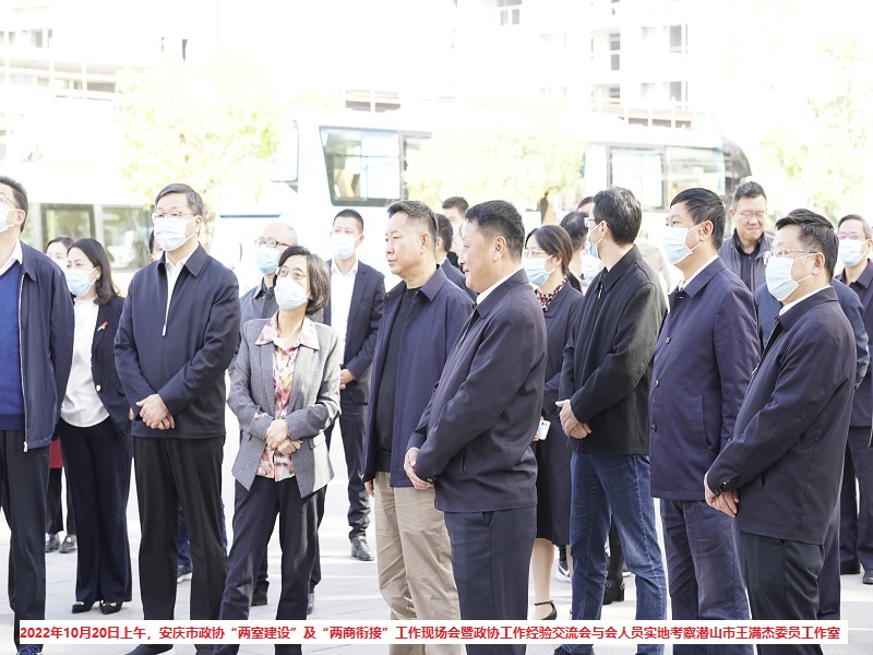 全市政协“两室建设”— 安庆市政协领导一行率安庆各县(市、区)政协主席、部分乡镇(街道)政协工作召集人和委员工作室负责人实地考察委员工作室