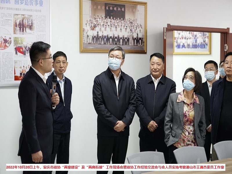 全市政协“两室建设”— 安庆市政协领导一行率安庆各县(市、区)政协主席、部分乡镇(街道)政协工作召集人和委员工作室负责人实地考察委员工作室