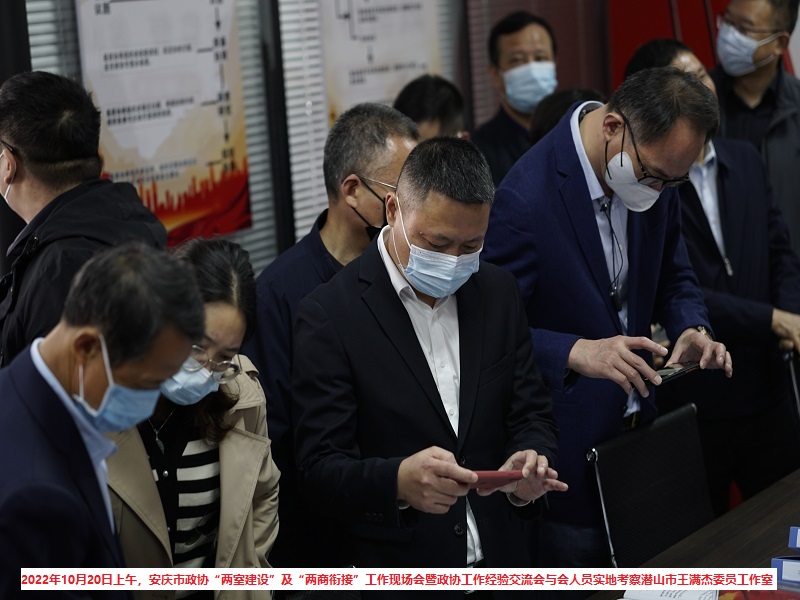 全市政协“两室建设”— 安庆市政协领导一行率安庆各县(市、区)政协主席、部分乡镇(街道)政协工作召集人和委员工作室负责人实地考察委员工作室