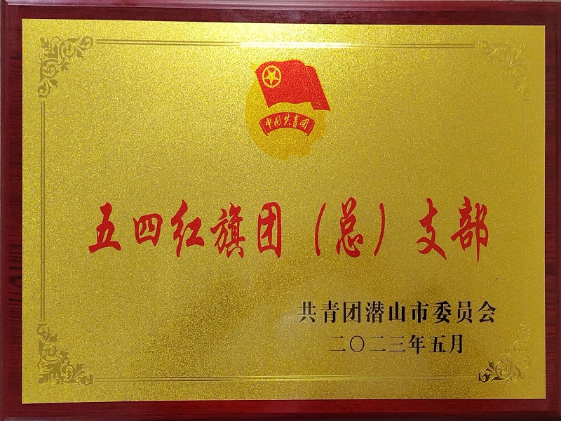 五四红旗团（总）支部